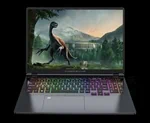 מחשב נייד גיימינג מקצועי RTX9 PRO XMR Gamers i9HX 64GB+2TB GDDR6 6